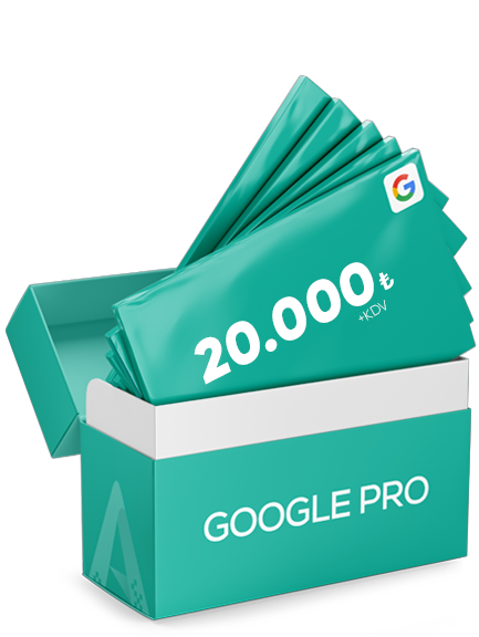 Google Reklam Pro